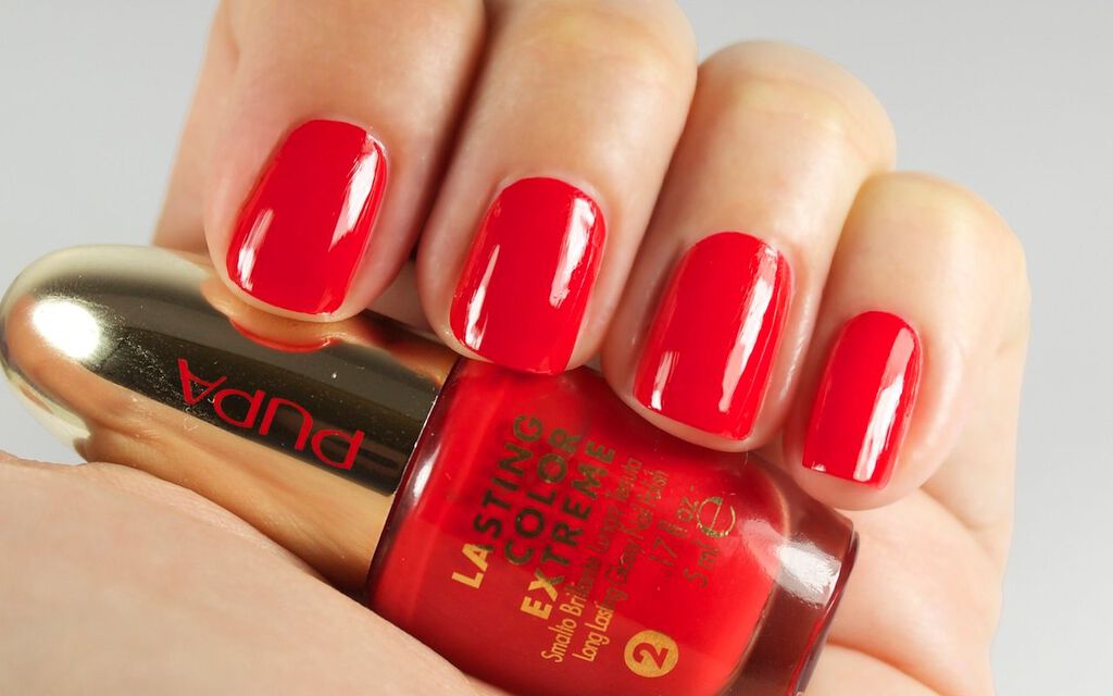 Lasting Color Extreme - PUPA Milano image number 1